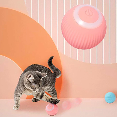 Smart Ball Cat Toy